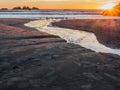 Sunset with gulls on beach