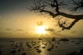 Sunset at Gustavia Harbor, St. Barts Royalty Free Stock Photo