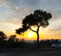 Sunset in Haifa, Ramat Golda subdistrict