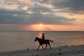 Sunset Harmony: Man and Horse Aligned with Gili Trawangan Twilight