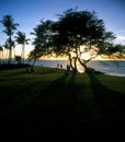 Sunset at hawaian beach Royalty Free Stock Photo
