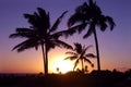 Sunset In Hawaii Royalty Free Stock Photo