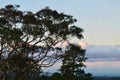 Sunset at Hazelbrook in the Blue Mountains Royalty Free Stock Photo