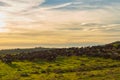 Sunset with herd of goats Royalty Free Stock Photo