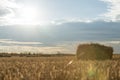 Sunset hey summer field farm Royalty Free Stock Photo