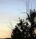 Sunset High Desert Eastern Washington State