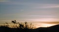 Sunset High Desert Eastern Washington State