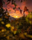 Sunset in the hills of the Smokies Royalty Free Stock Photo