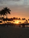 Sunset Honolulu Hawaii with palm trees Royalty Free Stock Photo