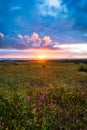 Sunset on the horizon with sky over a rural field and the sea in the background. Sunset, Sunrise over rural meadow field. Royalty Free Stock Photo