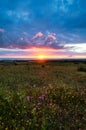 Sunset on the horizon with sky over a rural field and the sea in the background. Sunset, Sunrise over rural meadow field. Royalty Free Stock Photo