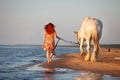 Sunset with horse at the beach Royalty Free Stock Photo