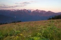 Sunset Hurricane Ridge Olympic Range National Park Washington USA Royalty Free Stock Photo