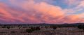 Sunset illuminates swirling dramatic clouds over a desert landscape Royalty Free Stock Photo
