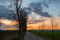 Sunset illumination above alley and dirty road Royalty Free Stock Photo