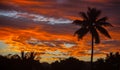 Tropical Sunset Oahu Hawaii Royalty Free Stock Photo