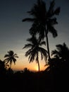 Sunset in Indian tropical landscape