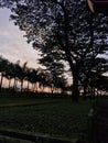Sunset at Indonesian countrey wonderful nature Royalty Free Stock Photo