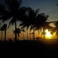 Sunset at Ipanema`s beach with the palms Royalty Free Stock Photo