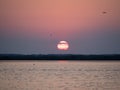 Sunset on Isaccel lake, Danube Delta, Romania Royalty Free Stock Photo