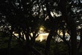 Sunset on the Island of Key Largo in the Florida Keys Royalty Free Stock Photo