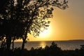 Sunset on the Island of Key Largo in the Florida Keys Royalty Free Stock Photo