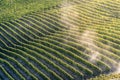 Sunset on italian hill region called langhe with ripe grapewine Royalty Free Stock Photo