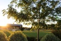 Sunset at Julius M Kleiner Memorial Park