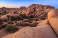 Sunset on the Jumbo Rocks of Joshua Tree National Park, California Royalty Free Stock Photo