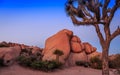 Sunset on the Jumbo Rocks of Joshua Tree National Park, California Royalty Free Stock Photo