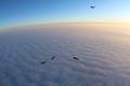 Skydiving. Sunset jump. Skydivers are above pink clouds.