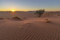 Sunset on Kalahari desert dune Royalty Free Stock Photo