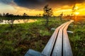 Sunset in Kemeri National Park