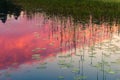 Sunset at Kenozero lake. Royalty Free Stock Photo