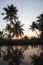 Sunset on Kerala backwaters