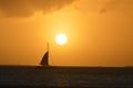 Sunset in Key west with with soaring birds and Sail boat