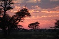 Sunset in Kgalagadi Royalty Free Stock Photo