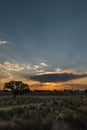 Sunset in Kgalagadi Royalty Free Stock Photo