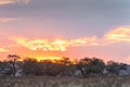 Sunset in Kgalagadi Royalty Free Stock Photo