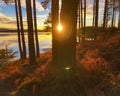 Sunset at Kielder Water, Northumberland Park, England Royalty Free Stock Photo