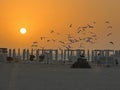 Sunset at Kite Beach in Jumeirah in Dubai, UAE Royalty Free Stock Photo