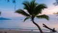 Sunset at Klon Prao Beach Koh Chang with low hanging palm trees in Thailand