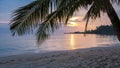 Sunset at Klon Prao Beach Koh Chang with low hanging palm trees in Thailand