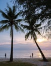 Sunset at Klon Prao Beach Koh Chang with low hanging palm trees in Thailand