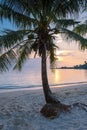 Sunset at Klon Prao Beach Koh Chang with low hanging palm trees in Thailand