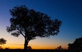 Kruger Sunset