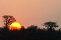 Sunset in Kruger National Park, South Africa Royalty Free Stock Photo