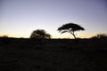 Sunset , Kruger national park Royalty Free Stock Photo