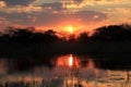 Sunset at Kwando River Royalty Free Stock Photo