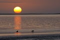 Sunset at the lagoon, Walvisbaai, Namibia Royalty Free Stock Photo